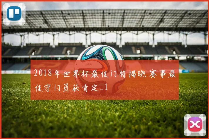 2018年世界杯最佳门将揭晓 赛事最佳守门员获肯定_1