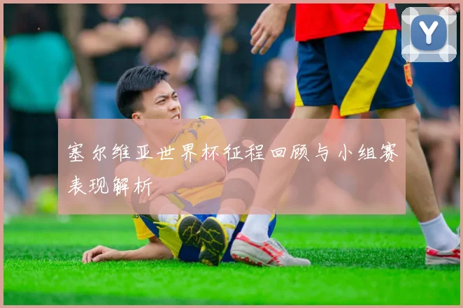 塞尔维亚世界杯征程回顾与小组赛表现解析