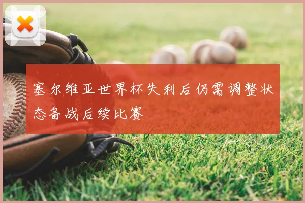 塞尔维亚世界杯失利后仍需调整状态备战后续比赛