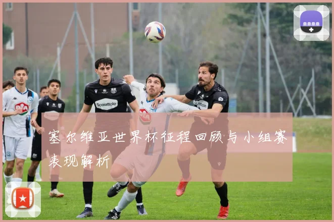 塞尔维亚世界杯征程回顾与小组赛表现解析
