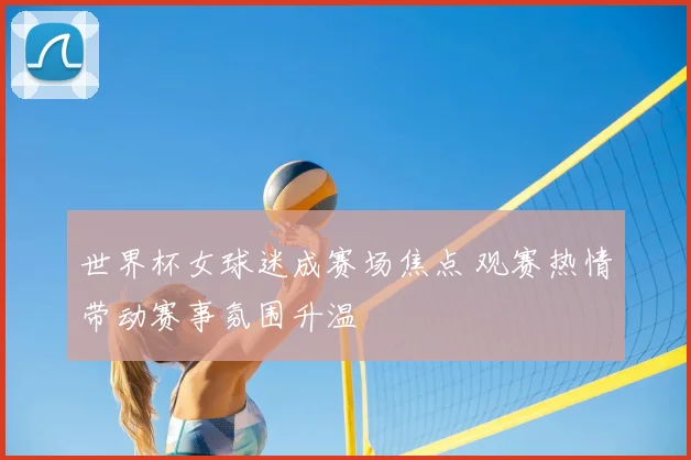 世界杯女球迷成赛场焦点 观赛热情带动赛事氛围升温