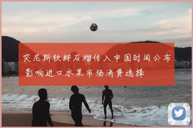 突尼斯软籽石榴传入中国时间公布 影响进口水果市场消费选择