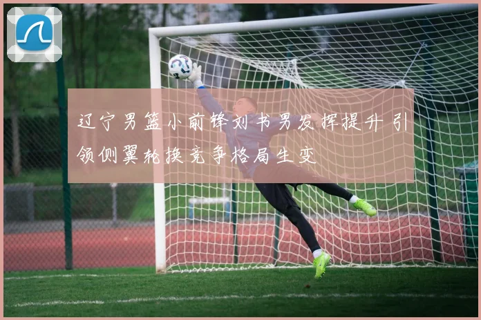 辽宁男篮小前锋刘书男发挥提升 引领侧翼轮换竞争格局生变