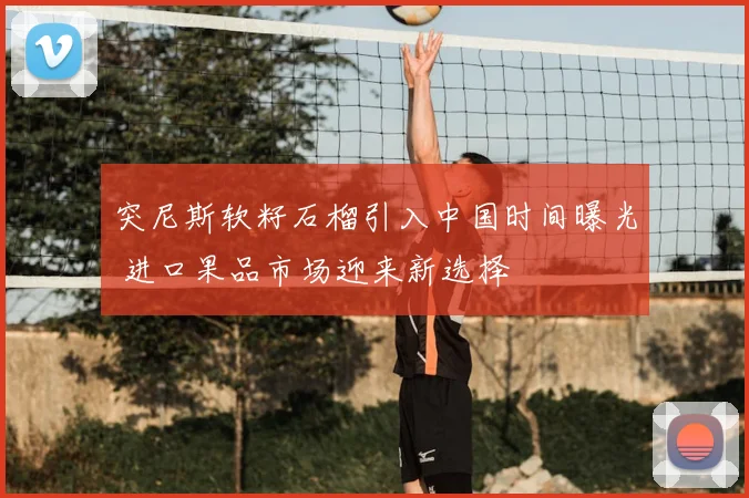 突尼斯软籽石榴引入中国时间曝光 进口果品市场迎来新选择
