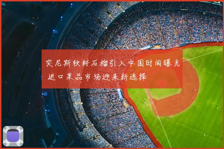 突尼斯软籽石榴引入中国时间曝光 进口果品市场迎来新选择