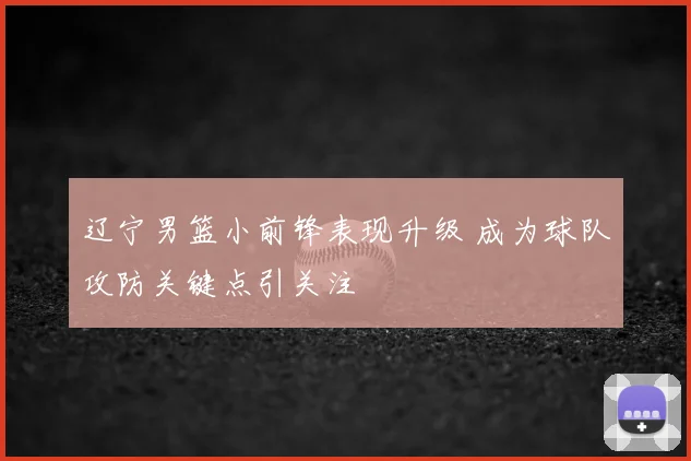 辽宁男篮小前锋表现升级 成为球队攻防关键点引关注